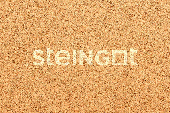 ���������� ������ Steingot ������ ����� 60 "���������" (������� �������)